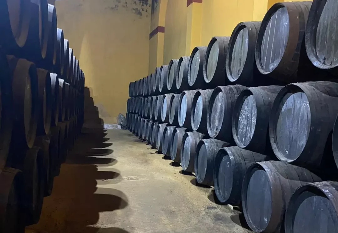 Curso de vinos de Jerez y su aplicación en la coctelería.